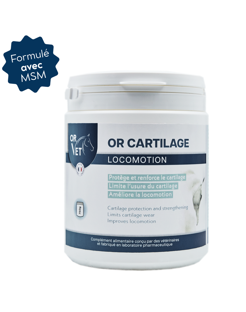 OR-CARTILAGE avec MSM