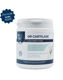 OR-CARTILAGE avec MSM