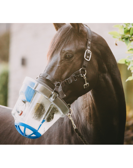 Kit d'inhalation SAHOMA-II pour chevaux