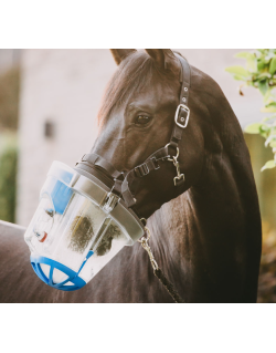 Kit d'inhalation SAHOMA-II pour chevaux