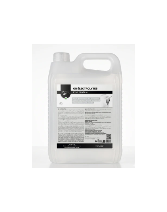 OR ELECTROLYTES - Complément en électrolytes pour chevaux de sport