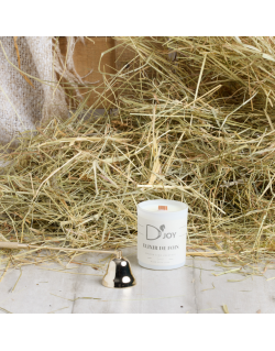Bougie MINI D'Joy "Elixir de Foin"