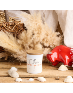 Bougie D'Joy "Escapade en Camargue" 150 gr