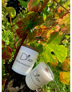 Bougie D'Joy "Trotting dans les Vignes" 150 gr